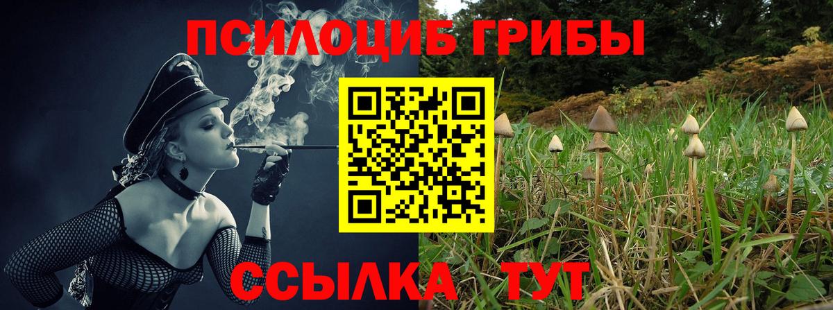Псилоцибиновые грибы ЛСД Димитровград