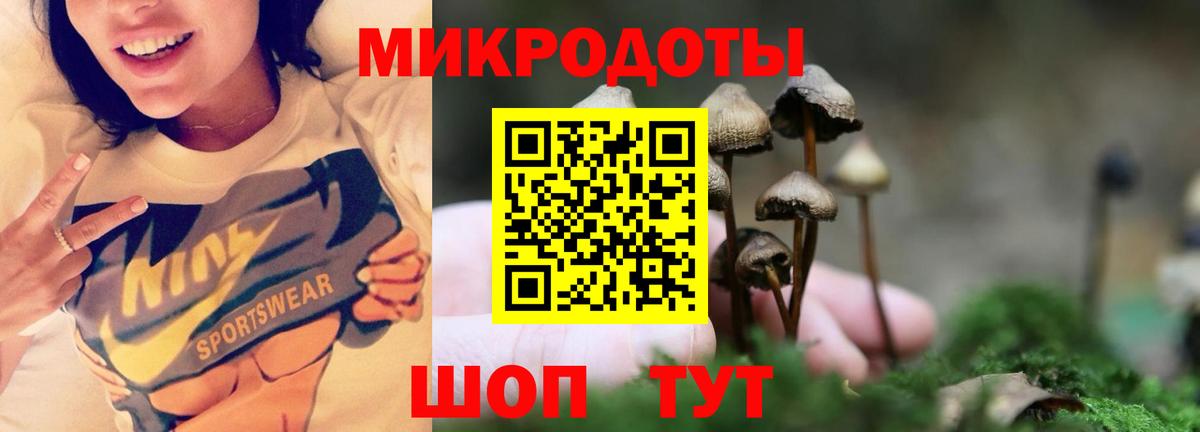 Псилоцибиновые грибы прущие грибы  Вход с VPN  Димитровград  Псилоцибиновые грибы прущие грибы 